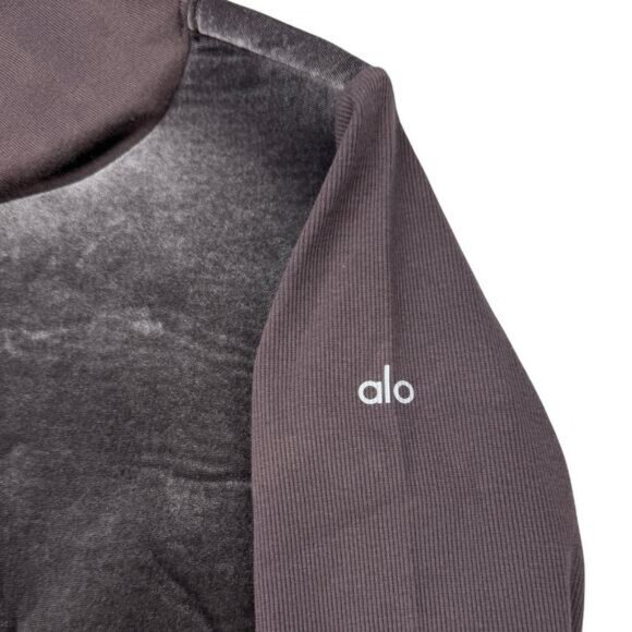 NWT ALO YOGA Luxe Long Sleeve Velour Hoodie Sweatshirt Size Small In Raisin - Picture 7 of 10